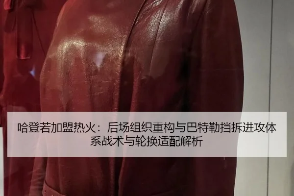 ha-deng-ruo-jia-meng-re-huo-hou-chang-zu-zhi-zhong-gou-yu-ba-te-lei-dang-chai-jin-gong-ti-xi-zhan-shu-yu-lun-huan-shi-2-387.jpg