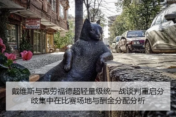 戴维斯与克劳福德超轻量级统一战谈判重启分歧集中在比赛场地与酬金分配分析