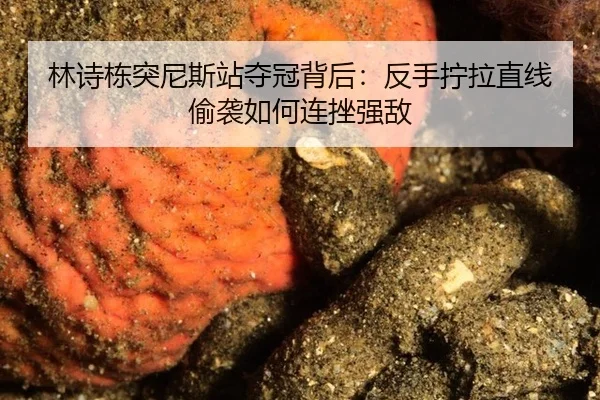 lin-shi-dong-tu-ni-si-zhan-duo-guan-bei-hou-fan-shou-ning-la-zhi-xian-tou-xi-ru-he-lian-cuo-qiang-di-2-692.jpg