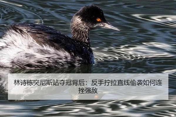 lin-shi-dong-tu-ni-si-zhan-duo-guan-bei-hou-fan-shou-ning-la-zhi-xian-tou-xi-ru-he-lian-cuo-qiang-di-3-539.jpg